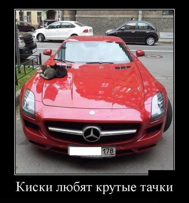 Демотиваторы