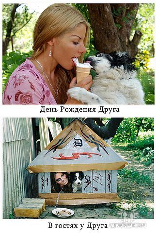 Новая звезда рунета Агата