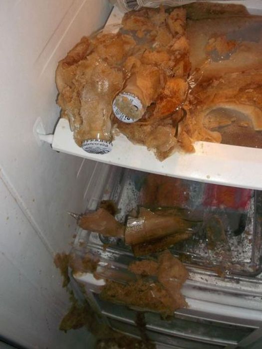 Прикольные картинки