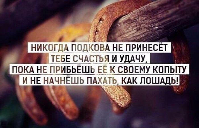 Порция картинок