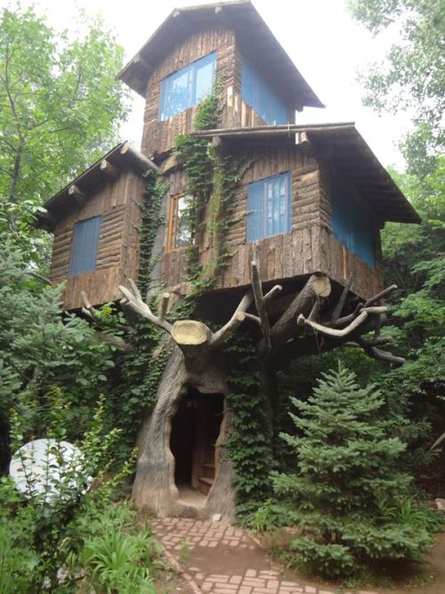 Порция картинок