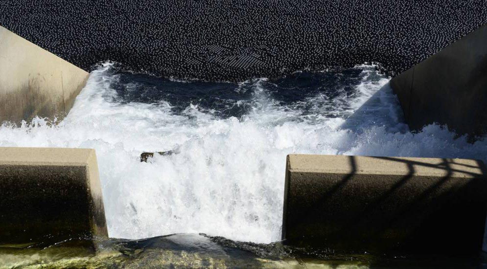 Почему американцы высыпали 96 миллионов черных шаров в водохранилище