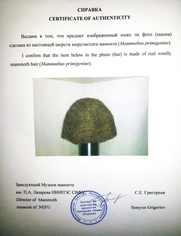 Единственная в мире шапка из шерсти мамонта продается за 10 тысяч долларов