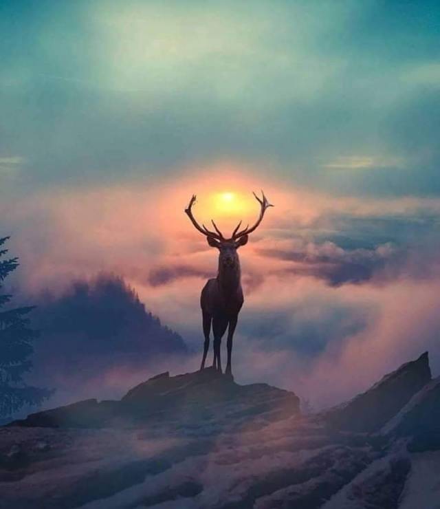 Фотографии вместо тысячи слов
