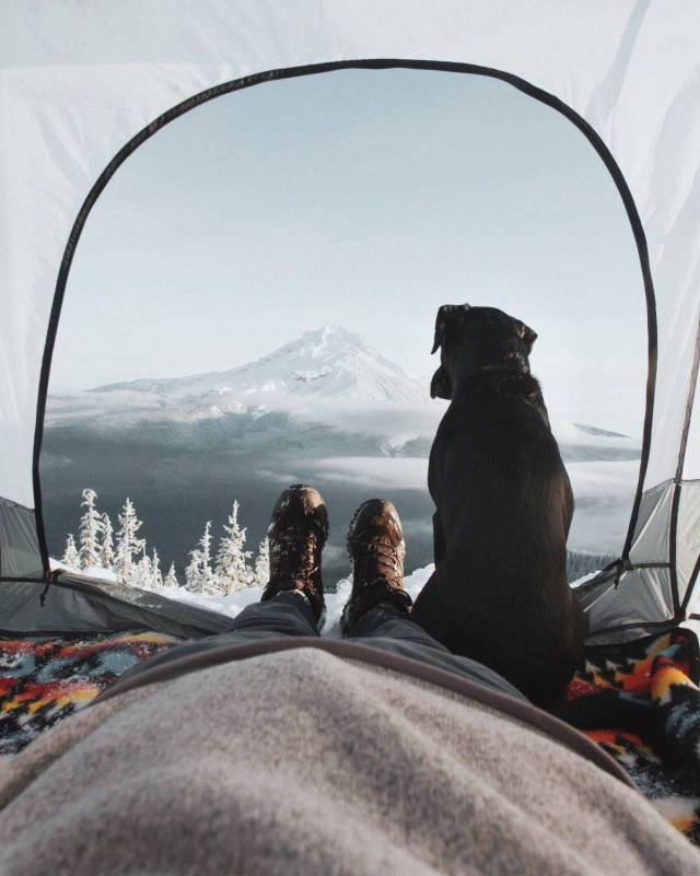 Фотографии вместо тысячи слов