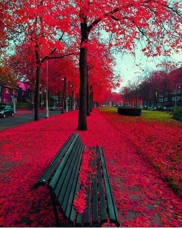Фотографии вместо тысячи слов