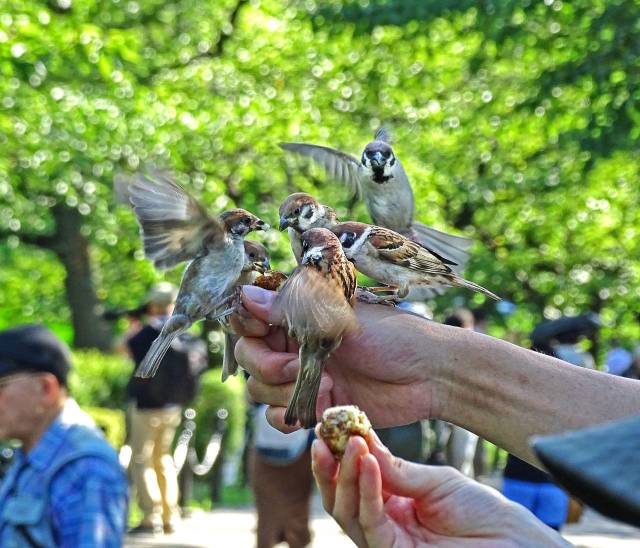 Фотографии вместо тысячи слов