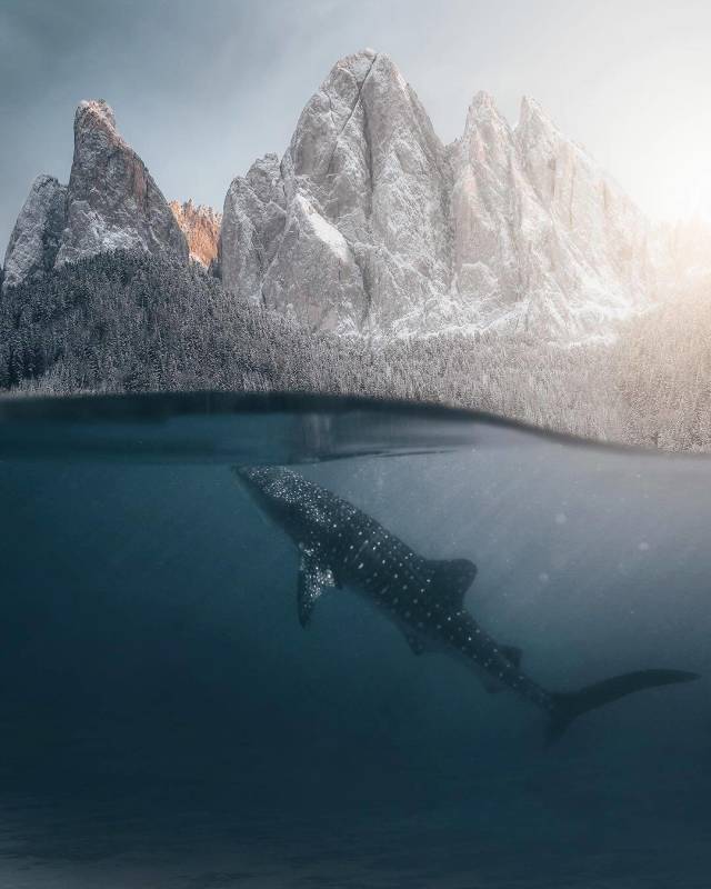 Фотографии вместо тысячи слов
