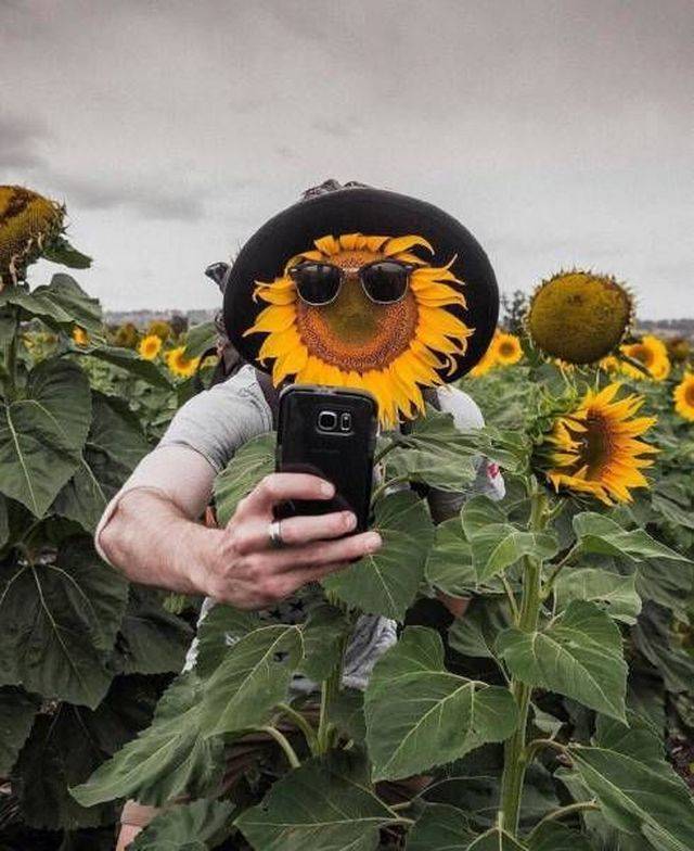 Фотографии вместо тысячи слов