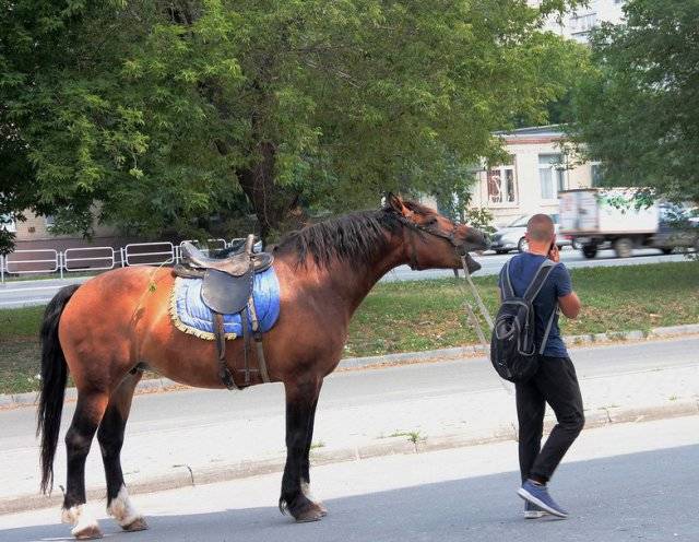 Странности и юмор с просторов нашей бескрайней