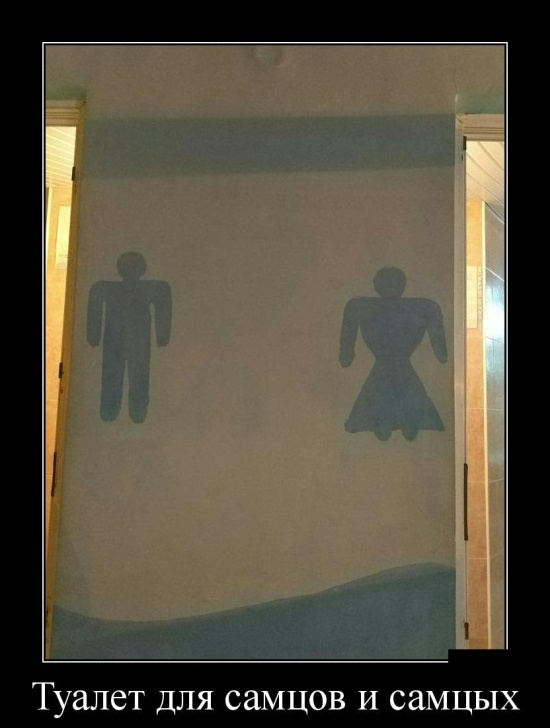 Демотиваторы