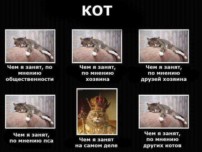 Прикольные комиксы (16 фото)