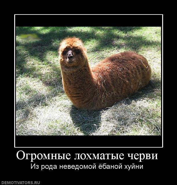 Демотиваторы (57 фото)