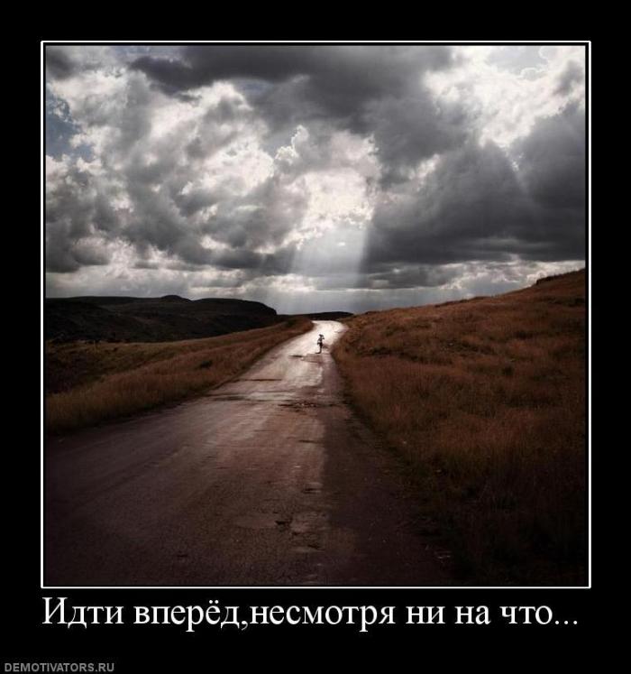 Демотиваторы (57 фото)