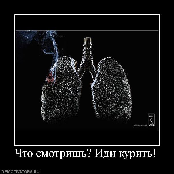 Демотиваторы (57 фото)