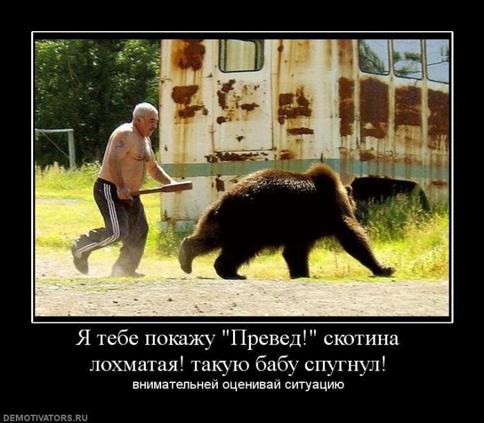 Демотиваторы (57 фото)