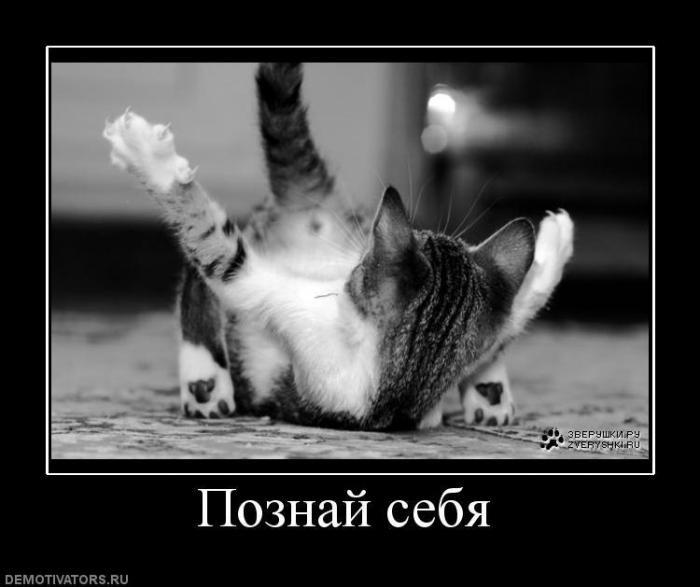 Демотиваторы (57 фото)