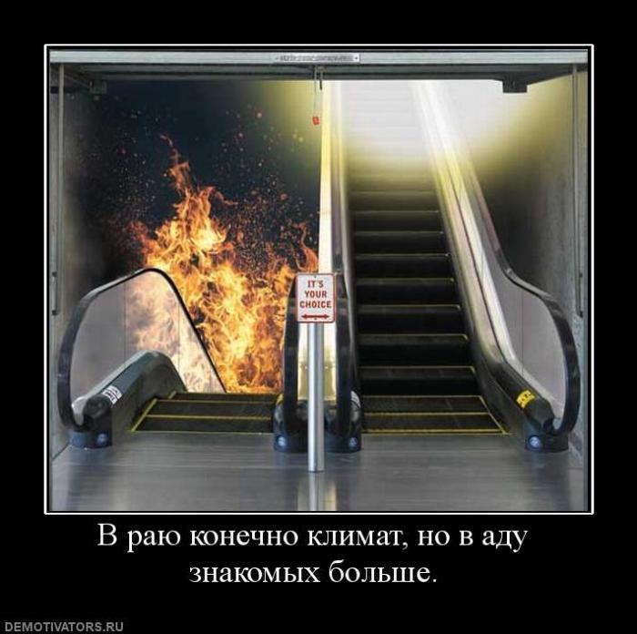 Демотиваторы (57 фото)