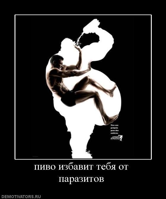 Демотиваторы (57 фото)