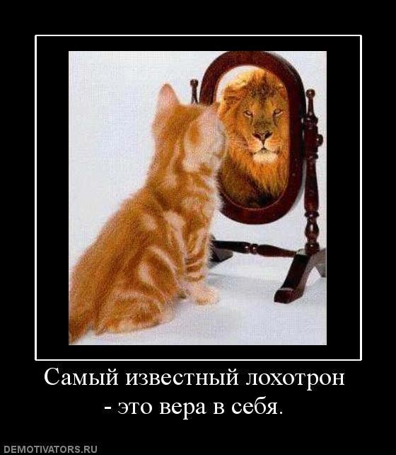 Демотиваторы (57 фото)