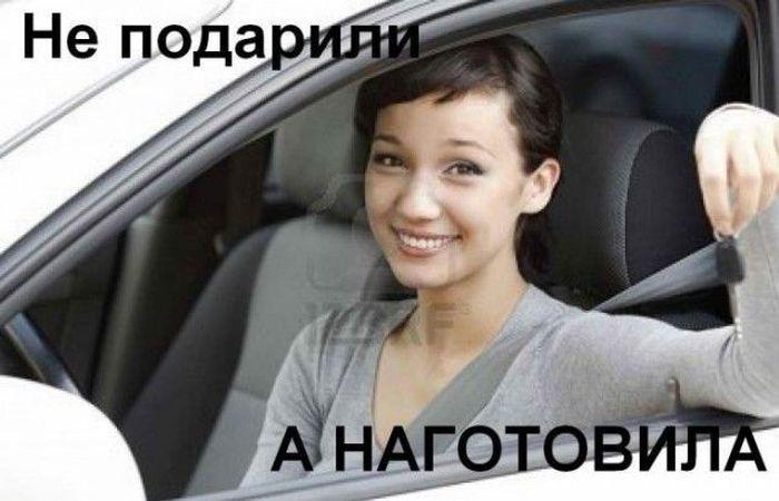 Прикольные картинки (70 фото)