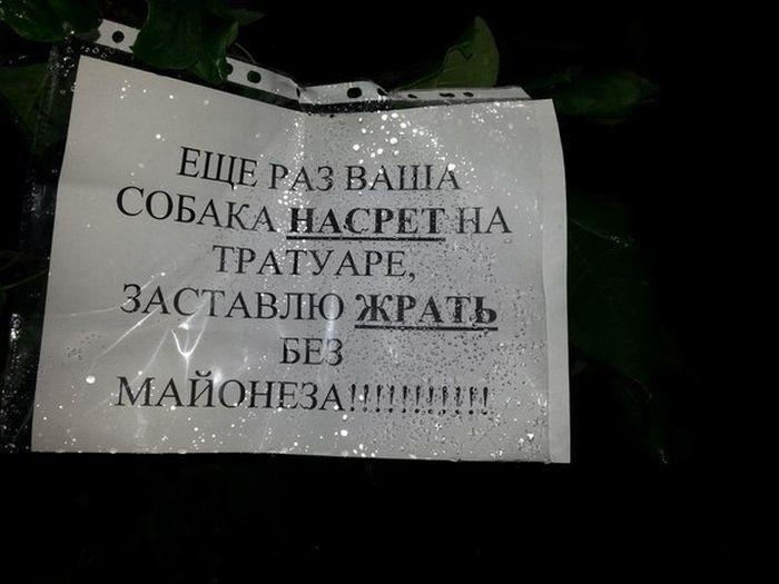 Прикольные картинки (70 фото)