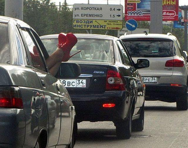 Прикольные картинки (70 фото)