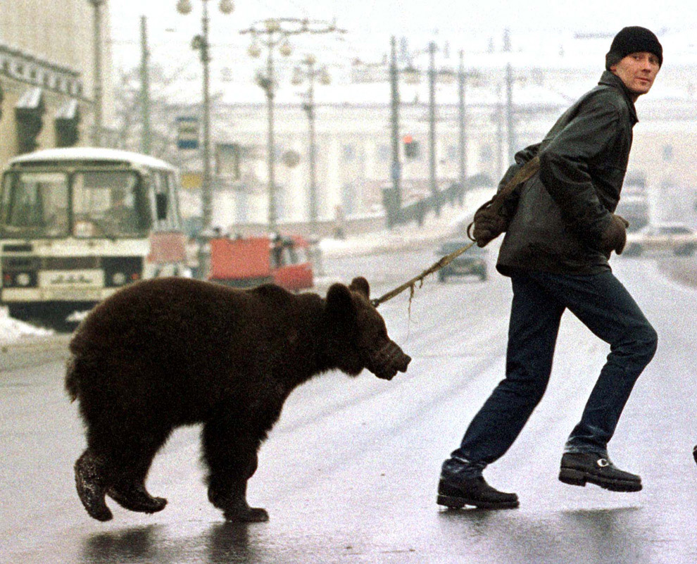 Необычные домашние животные