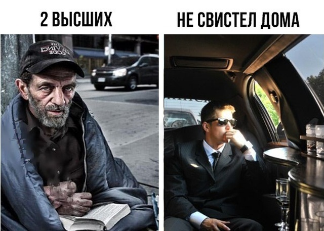 Прикольные картинки