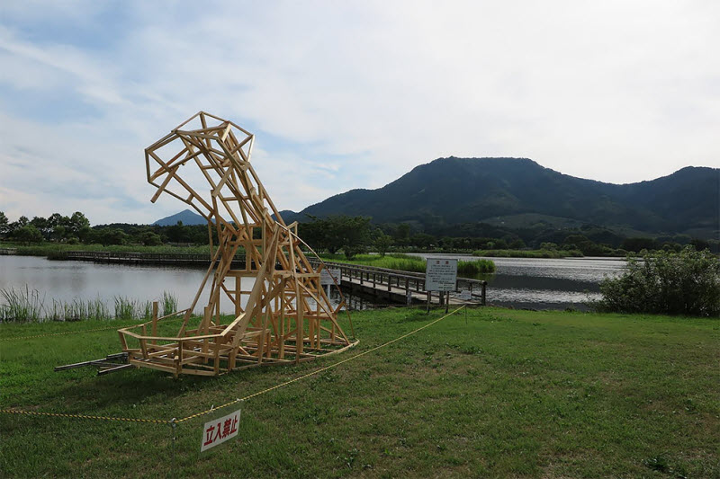 Wara Art Festival в Японии