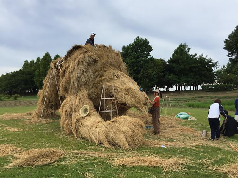 Wara Art Festival в Японии