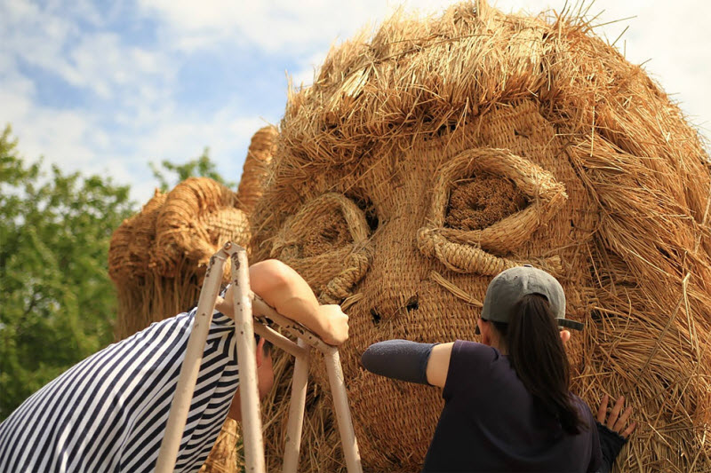 Wara Art Festival в Японии