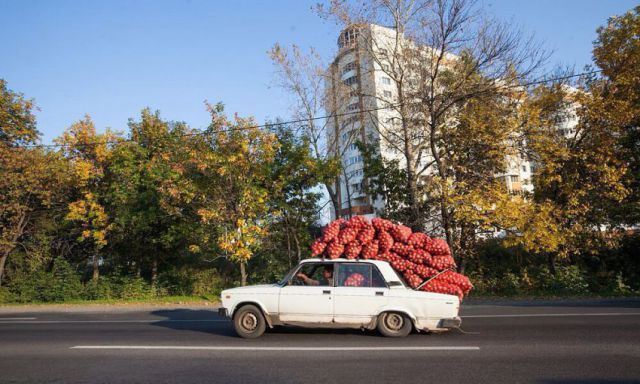 Такое возможно только в России! (50 фото)