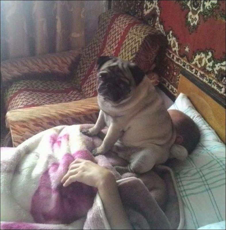 Кучка картинок