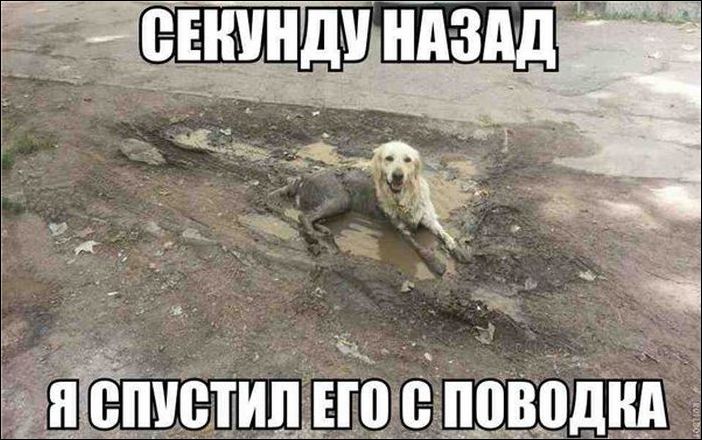 Кучка картинок