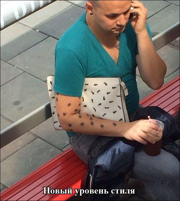 Кучка картинок