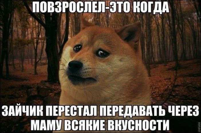 Кучка картинок