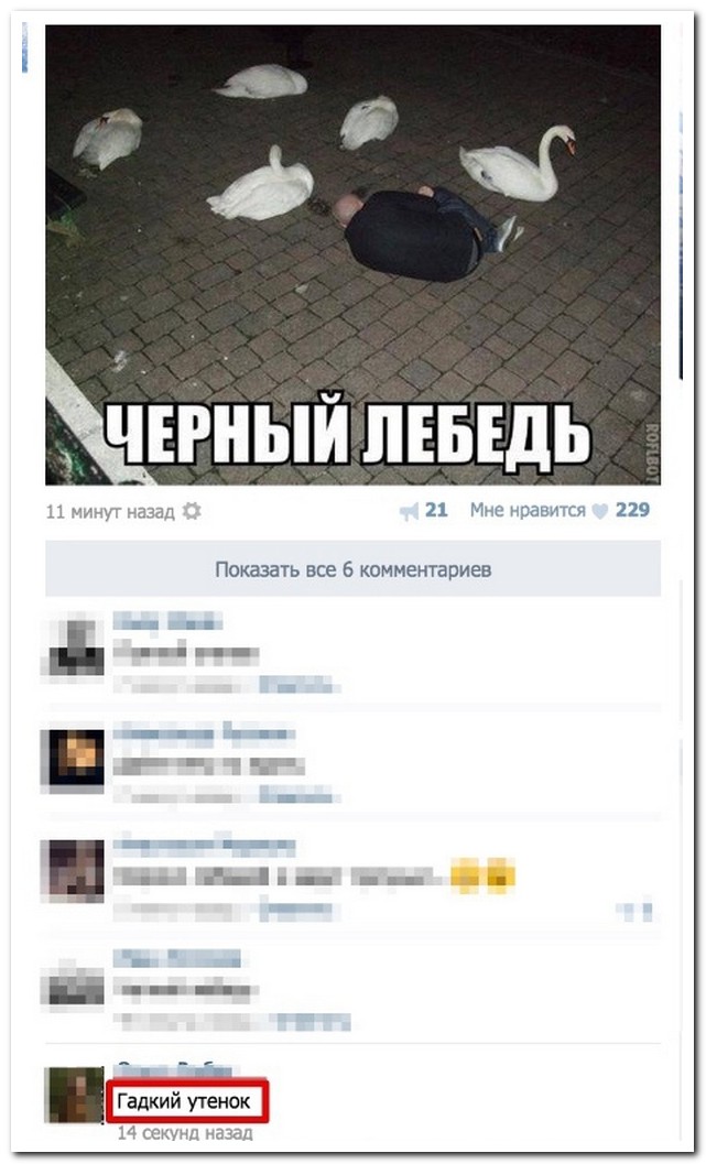Смешные комментарии из социальных сетей