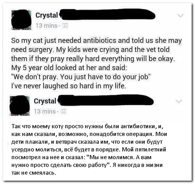 Смешные комментарии из социальных сетей