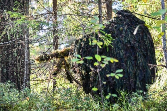 Учения российских и белорусских снайперов в Псковской области