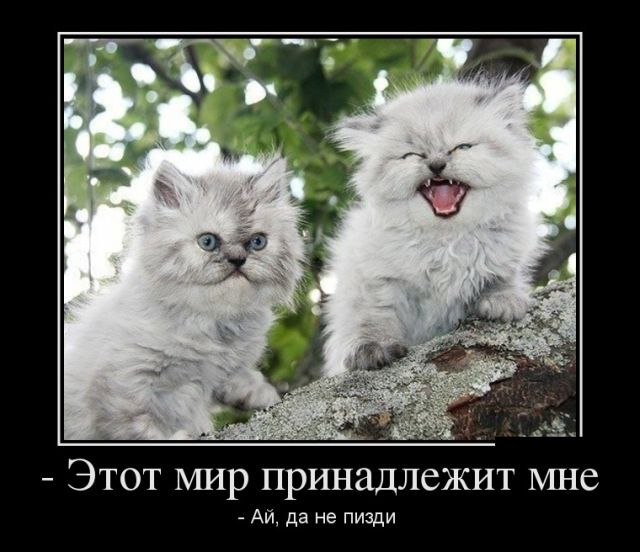 Демотиваторы