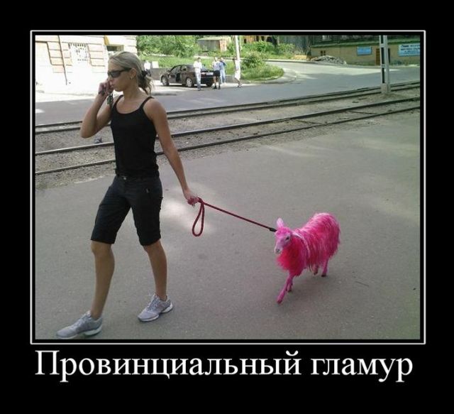 Демотиваторы