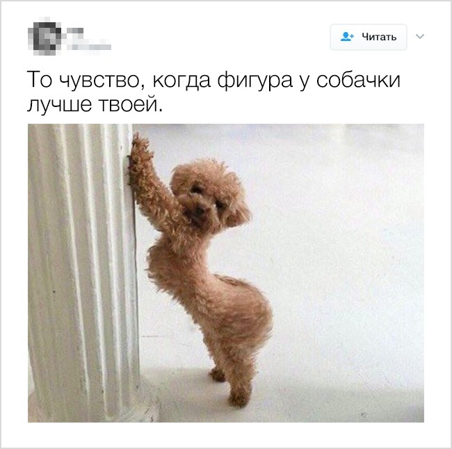 Жизненные твиты, которые заставят вас улыбнуться