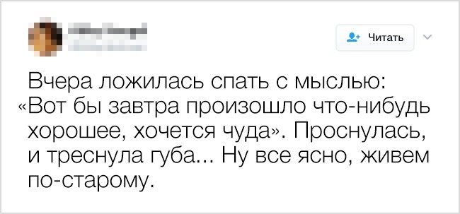 Жизненные твиты, которые заставят вас улыбнуться