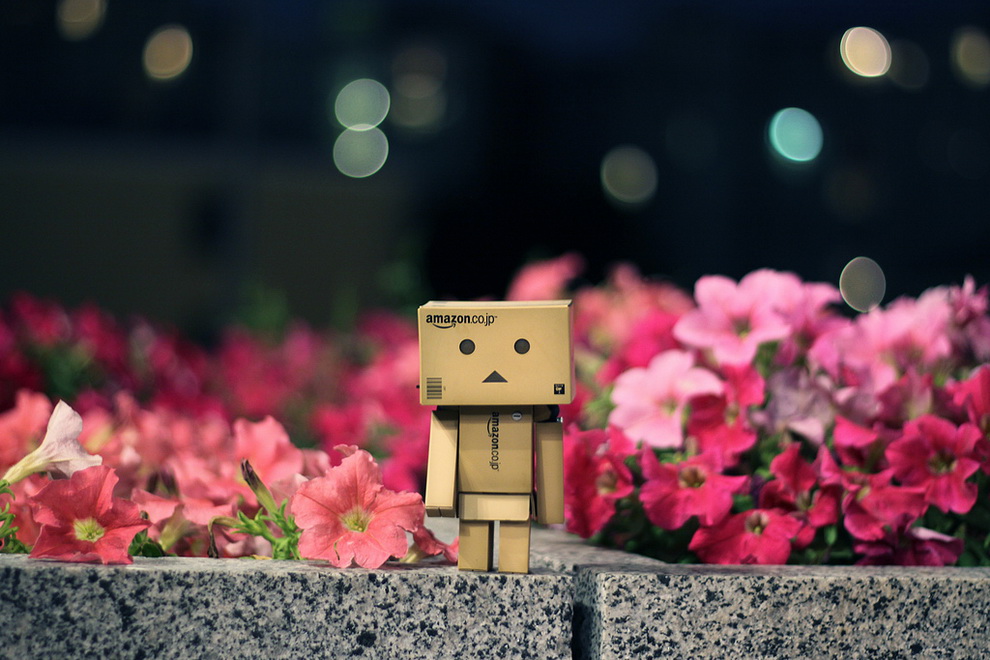 Приключения картонного человечка Danbo Приключения картонного человечка Danbo