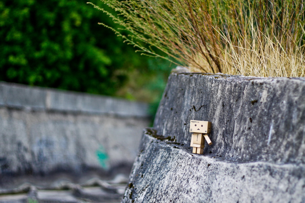 Приключения картонного человечка Danbo Приключения картонного человечка Danbo