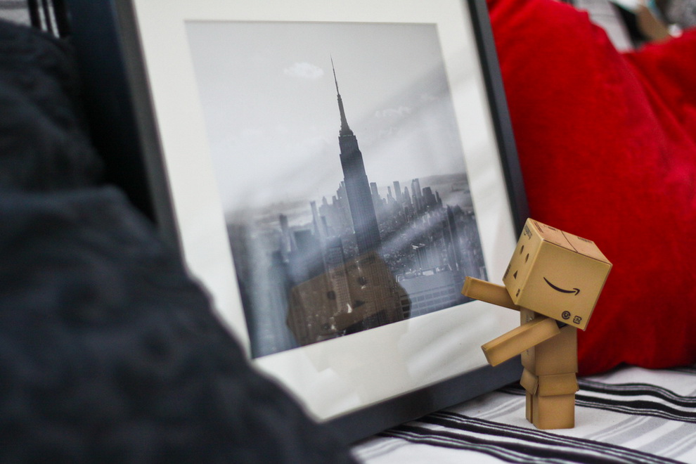 Приключения картонного человечка Danbo Приключения картонного человечка Danbo