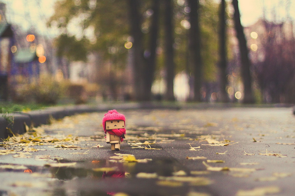 Приключения картонного человечка Danbo Приключения картонного человечка Danbo