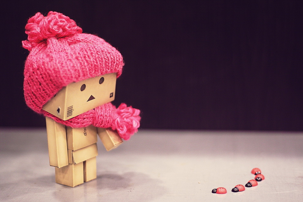 Приключения картонного человечка Danbo Приключения картонного человечка Danbo