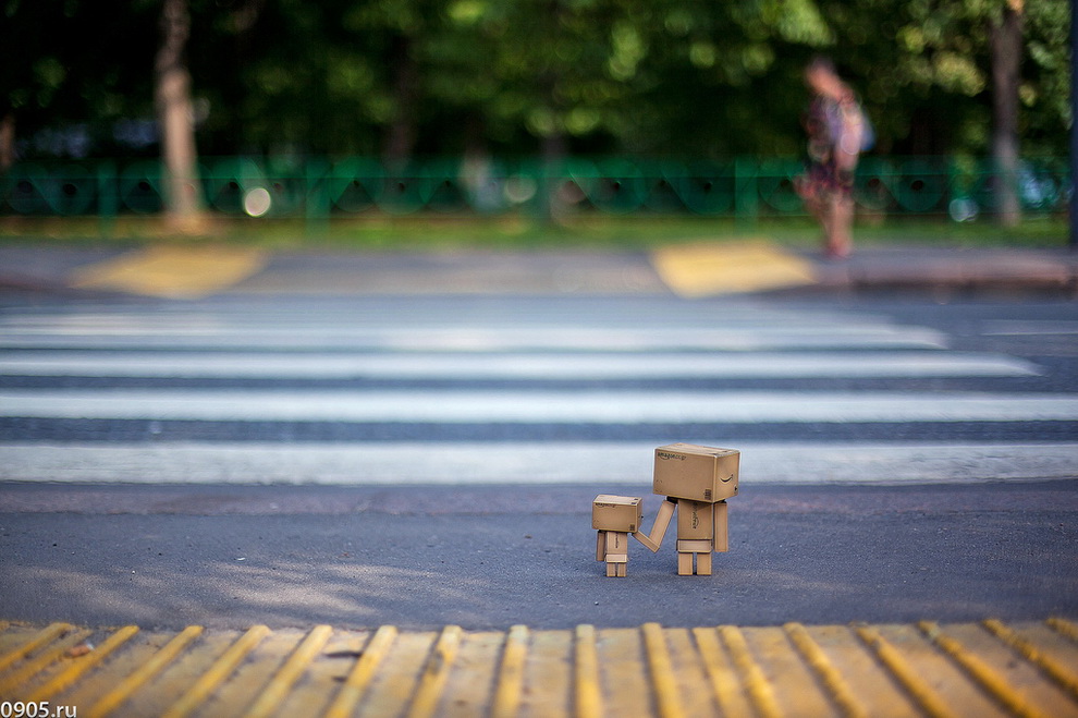 Приключения картонного человечка Danbo Приключения картонного человечка Danbo